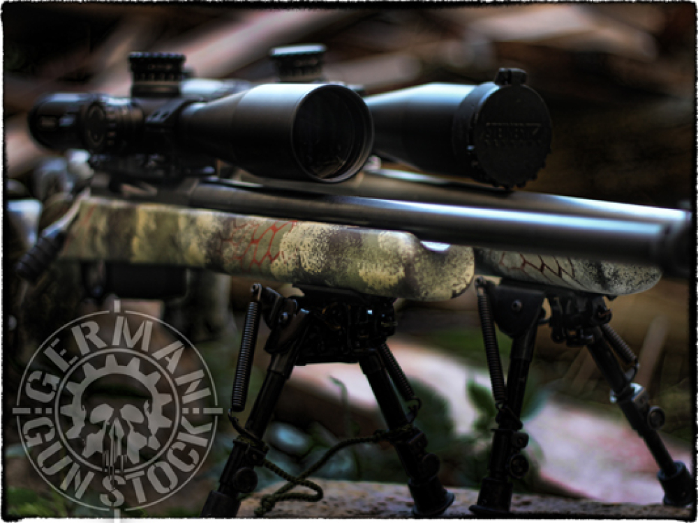 "RAPTOR" - Remington 700 / Bergara B14